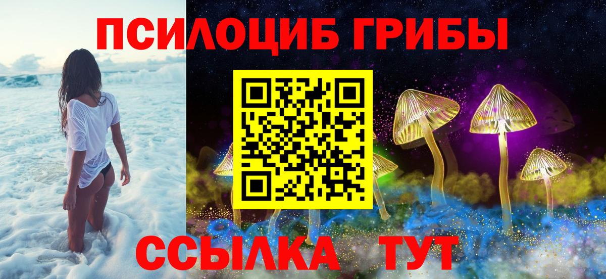 дарнет шоп  Галлюциногенные грибы мухоморы  Вход с VPN  Усть-Илимск 